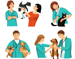 Veterinary Care